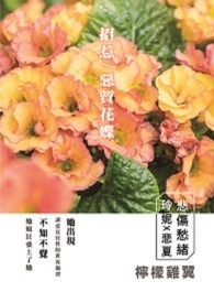 恶质病症状