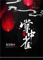 掌中雀14